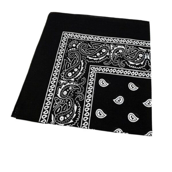 Assorted Paisley Design Bandana