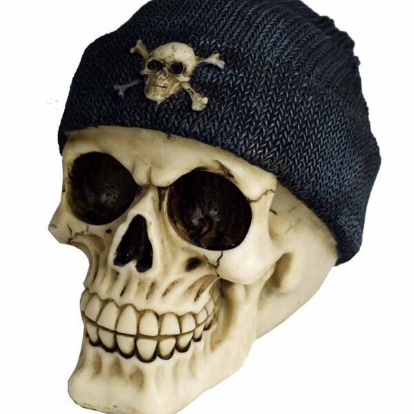 Skull With Beanie Hat
