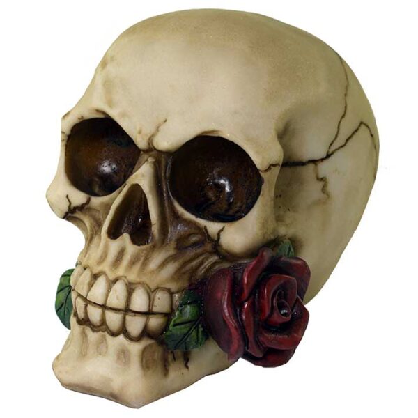 Skull With Rose In Mouth