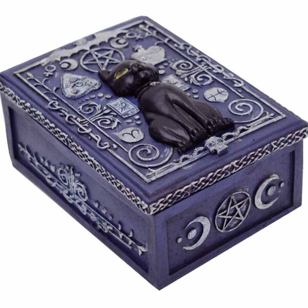 Black Cat Box