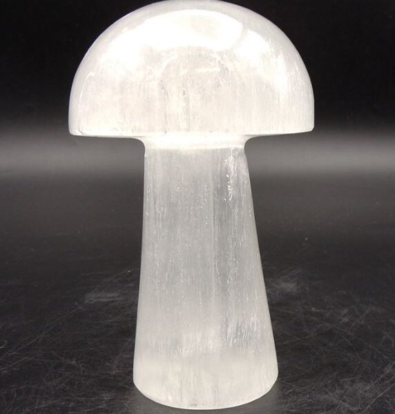 Selenite Toadstool/Mushroom Carving (100mm)